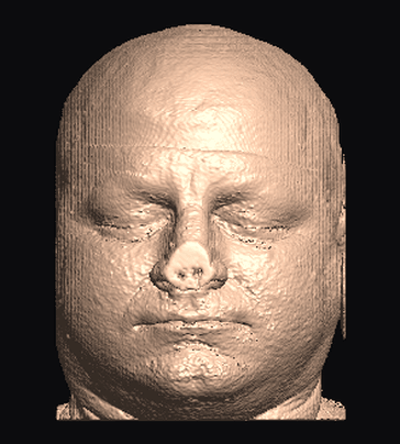 Input render of the MRHead sample